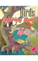 Birds coloring book