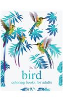 Bird coloring books for adults