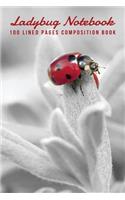 Ladybug Notebook