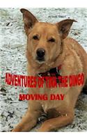 Adventures of Tina the Dingo