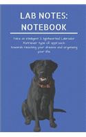 Lab Notes