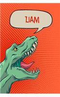 Liam: Personalized Dino Handwriting Practice Paper for Kids Notebook with Dotted Lined Sheets for K-3 Students 120 Pages 6x9