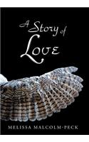 Story of Love
