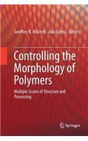 Controlling the Morphology of Polymers