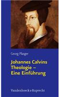 Johannes Calvins Theologie â Eine EinfÃ
