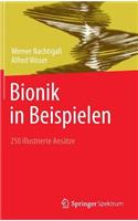 Bionik in Beispielen