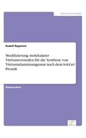 Modifizierung molekularer Yttriumvorstufen für die Synthese von Yttriumaluminiumgranat nach dem Sol-Gel Prozeß: (German)