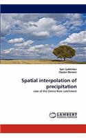 Spatial interpolation of precipitation