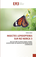 Insectes Lepidopteres Sur Riz Nerica 3