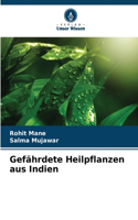 Gefährdete Heilpflanzen aus Indien