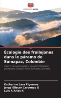 Écologie des frailejones dans le páramo de Sumapaz, Colombie