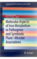 Molecular Aspects of Iron Metabolism in Pathogenic and Symbiotic Plant-Microbe Associations