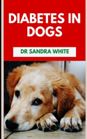 Diabetes In Dogs