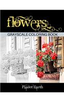 Flowers Grayscale Coloring Book: Beautiful images of flowers in pots hanging on houses and buildings