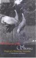 The Dance of the Sarus