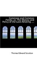 Commons and Common Fields