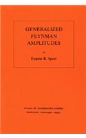 Generalized Feynman Amplitudes