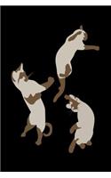 Cat Notebook Cat Journal Notepad
