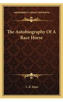 Autobiography of a Race Horse
