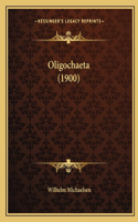 Oligochaeta (1900)