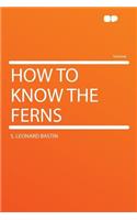 How to Know the Ferns