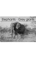 Elephants - Grey Giants 2018