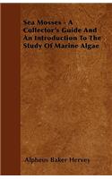 Sea Mosses - A Collector's Guide And An Introduction To The Study Of Marine Algae