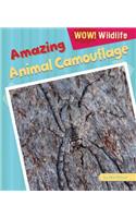 Amazing Animal Camouflage