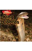 King Cobras