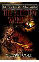 Shattered Souls: The Sleeping Warrior: Book I