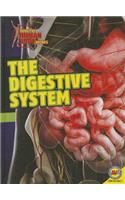 The Digestive System