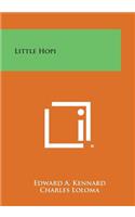 Little Hopi