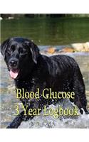 Blood Glucose Logbook