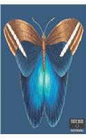 Write Here Notebooks: Butterfly Notebook / Journal 100 Pages of Lined Paper 6"x9" with Glossy Finish Lined Composition Book Beautiful Brown To Blue Butterfly