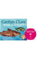 Catfish Clues