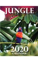 Jungle 2020 Calendar