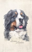 Bernese Mountain Dog Portrait Notebook: Blank Dot Grid Journal for Dog Lovers, Dog Mom, Dog Dad and Pet Owners - 6x9 - 5MM Dot Grid Pages(40 Watercolor Dog Journals)