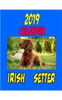 2019 Calendar Irish Setter