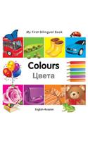 My First Bilingual Book - Colours - English-russian