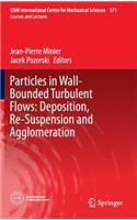 Particles in Wall-Bounded Turbulent Flows: Deposition, Re-Suspension and Agglomeration