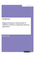 Magnetoresistance enhancement of (LBMO)1-x/(NiO)x composites based on Spin Valves