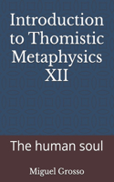 Introduction to Thomistic Metaphysics XII: The human soul