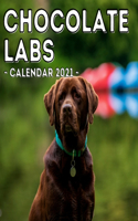 Chocolate Labs Calendar 2021