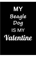 My Beagle Dog Is My Valentine