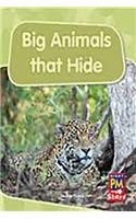 Big Animals That Hide: Leveled Reader Bookroom Package Blue (Levels 9-11)(Rigby PM Stars)