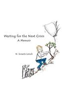 Waiting for the Next Crisis