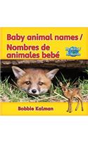 Baby Animal Names / Nombres de Animales Bebé