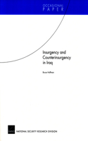 Insurgency and Counterinsurgency in Iraq