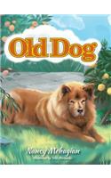 Old Dog