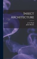 Insect Architecture